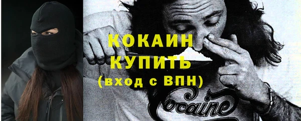 стаф Кукмор